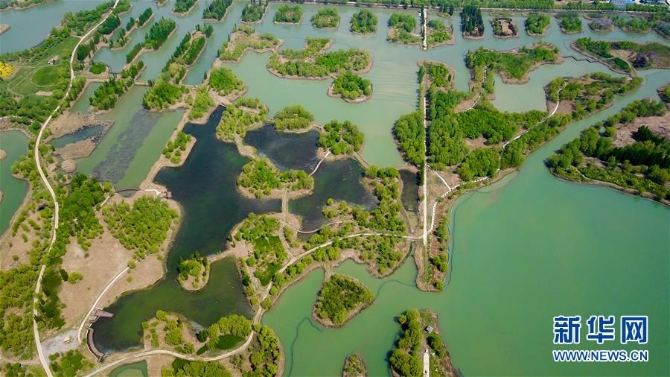 （春季美丽生态）（7）泉城济南：济西湿地春色美