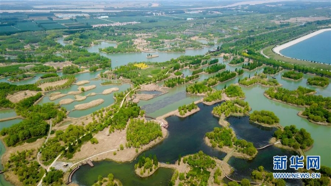 （春季美丽生态）（4）泉城济南：济西湿地春色美
