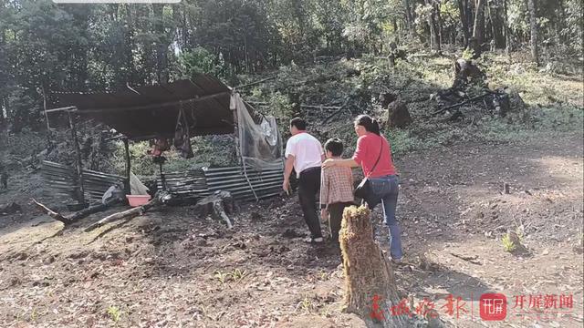 小学生开学未报到，老师在深山找到他