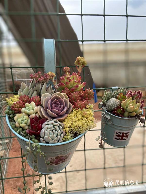 张先容线下课堂DIY作品