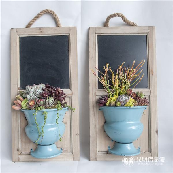 直播现场多肉组盆作品 周瑨摄