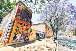 有“昆明蓝”做背景,每种花都艳丽。 记者王俊星摄 有“昆明蓝”做背景,每种花都艳丽。 记者王俊星摄