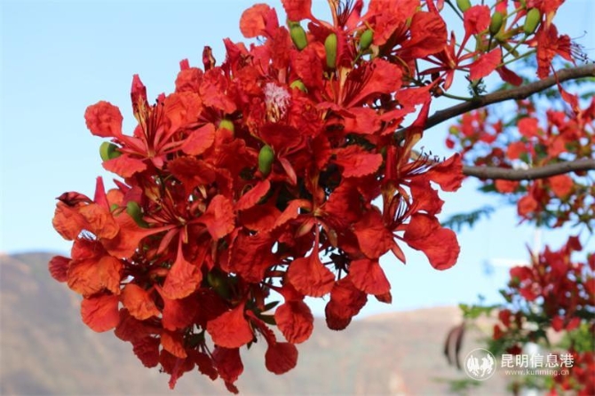 22dbac39fca1421a76f2f8e82df0bcd