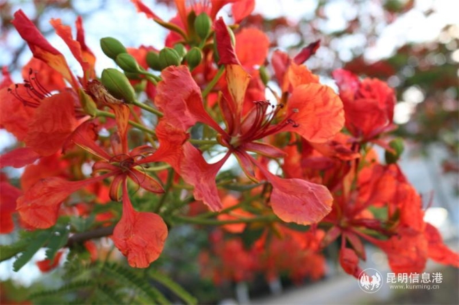 9989552ba1494511ecdfe1a70270d5e