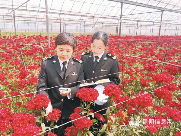 微信图33 微信图33