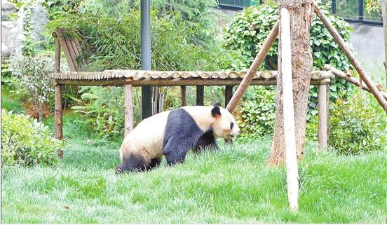 QQ截图20200603083959