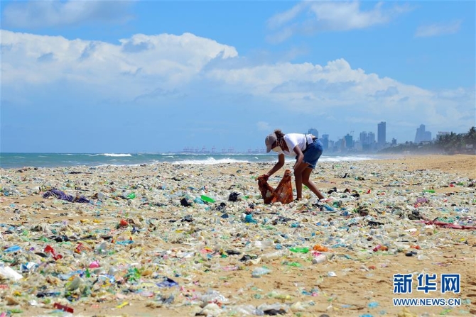 （国际）（1）世界环境日：斯里兰卡志愿者清理海滩垃圾