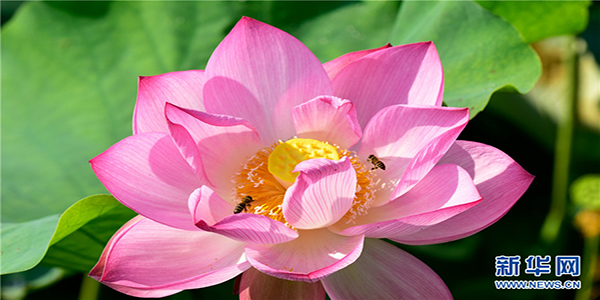 139121112_15915208707361n