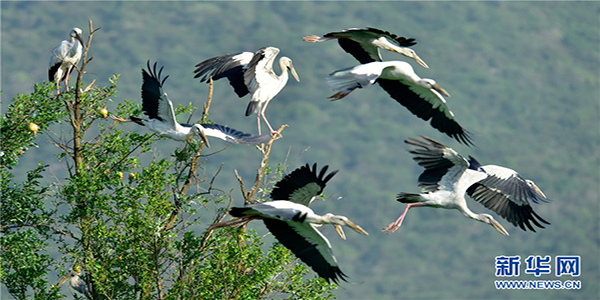 139121112_15915208710051n