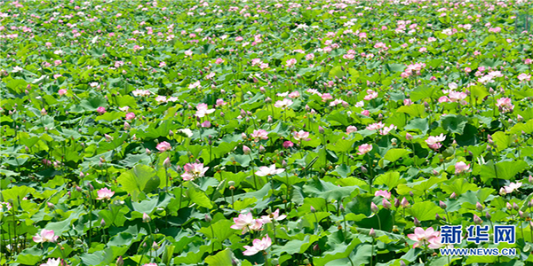 139121112_15915208713581n