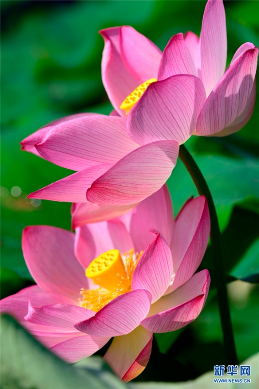 139121112_15915208705171n