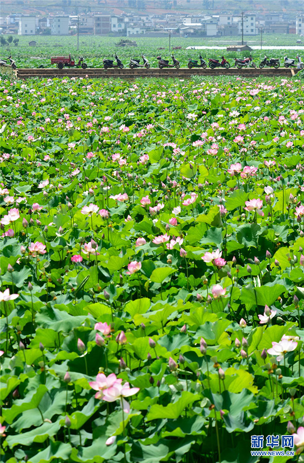 139121112_15915208714941n