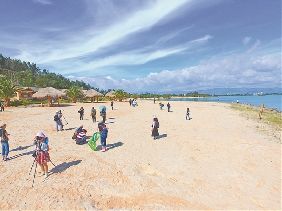 2020060907_res07_attpic_brief 2020060907_res07_attpic_brief