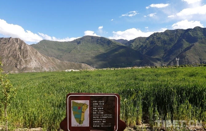 a_455589874024574976 a_455589874024574976