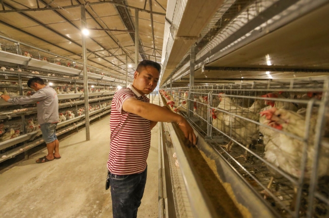 20200615221620_4906.jpg@1000w_1e_1c_80Q_1x 20200615221620_4906.jpg@1000w_1e_1c_80Q_1x