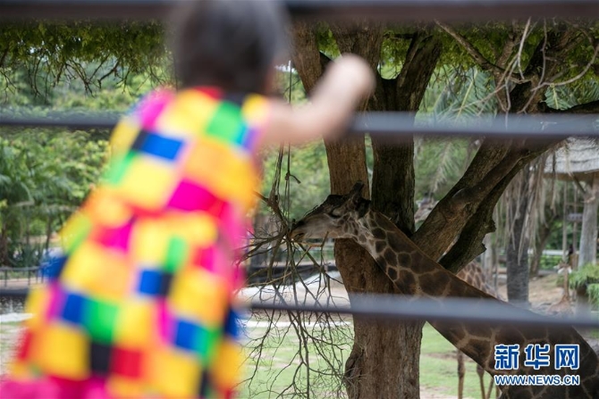 （国际疫情）（4）泰国动物园免费向民众开放