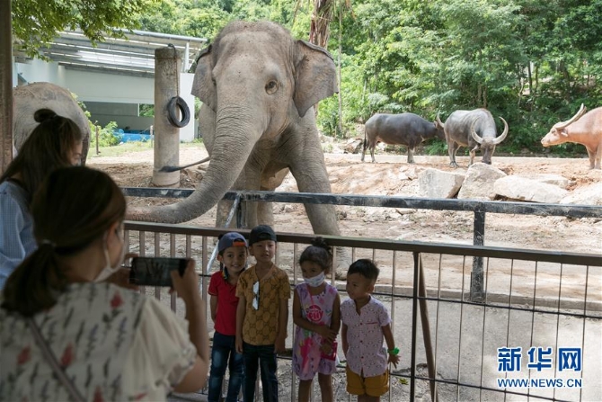 （国际疫情）（5）泰国动物园免费向民众开放