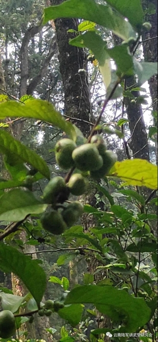 微信图片_20200623204627