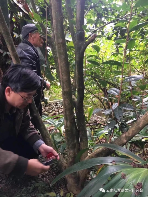 微信图片_20200623204647