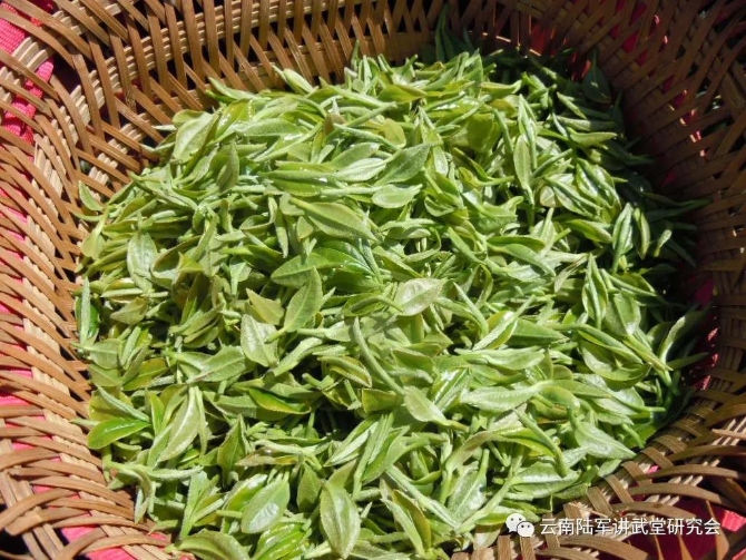 微信图片_20200623205604