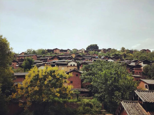 微信图片_20200528163259