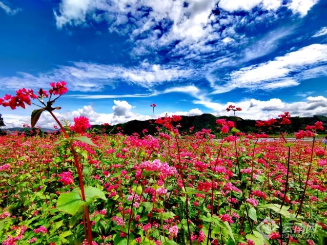 00301914987_f2fc8b1a