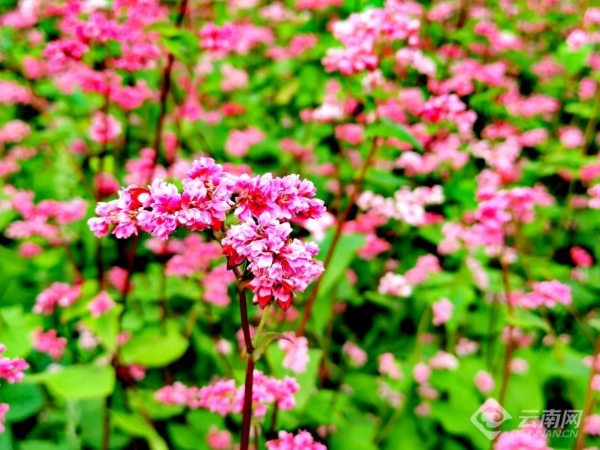 00301914984_cc69a82a