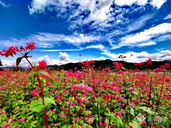 00301914987_f2fc8b1a