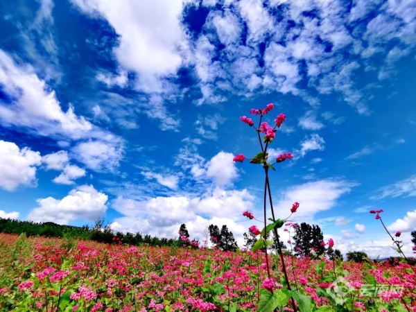 00301914986_4e58288c