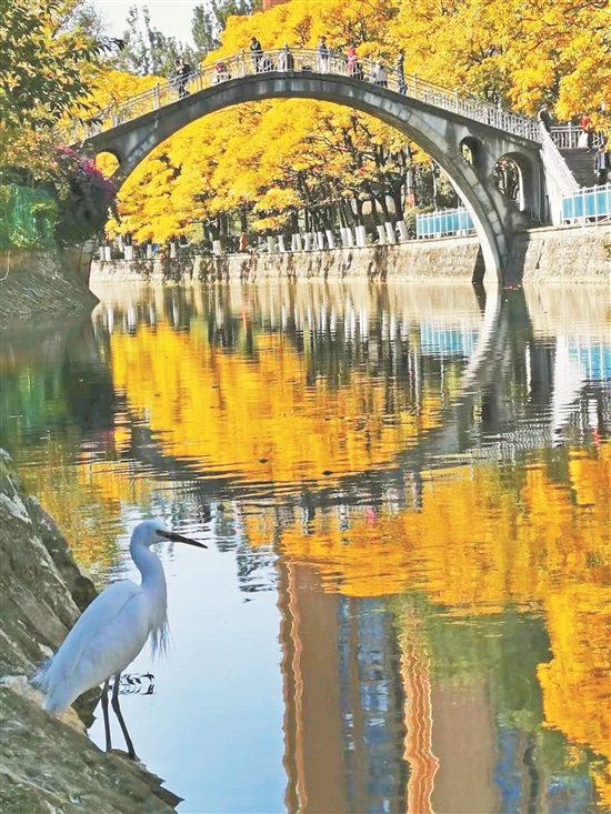 2020071407_res07_attpic_brief