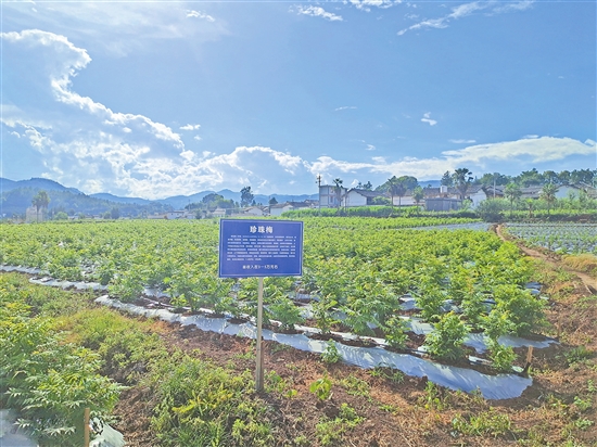 2020071706_res03_attpic_brief 2020071706_res03_attpic_brief