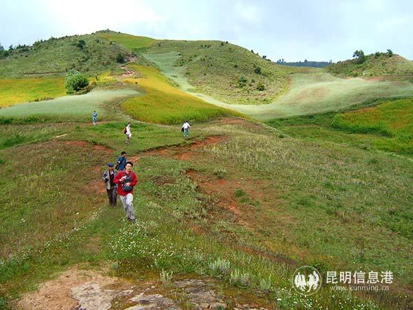 10 高山草甸 后藤先生 摄3