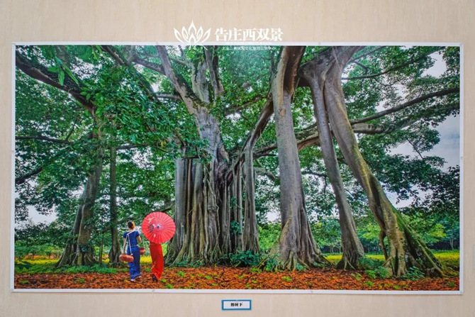 微信图片_20200804094234 微信图片_20200804094234