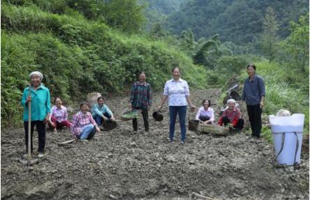 QQ截图202008061042273