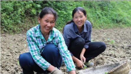 QQ截图202008061042384