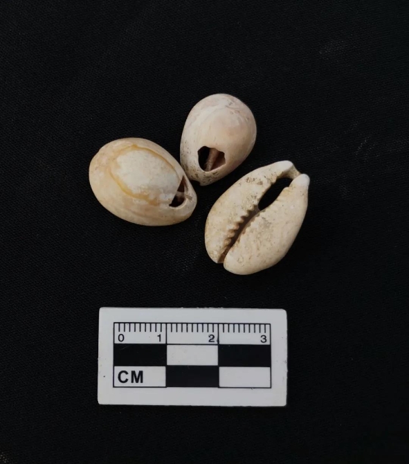 玉龙为都墓地发掘取得阶段性成果