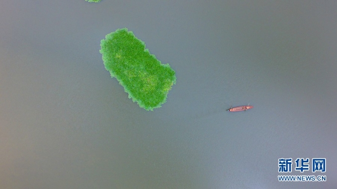 00302188274_4dede986