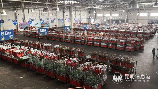 花卉全产业供应链体系