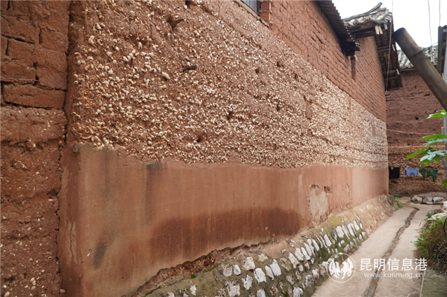 晋宁 河泊村 (2)