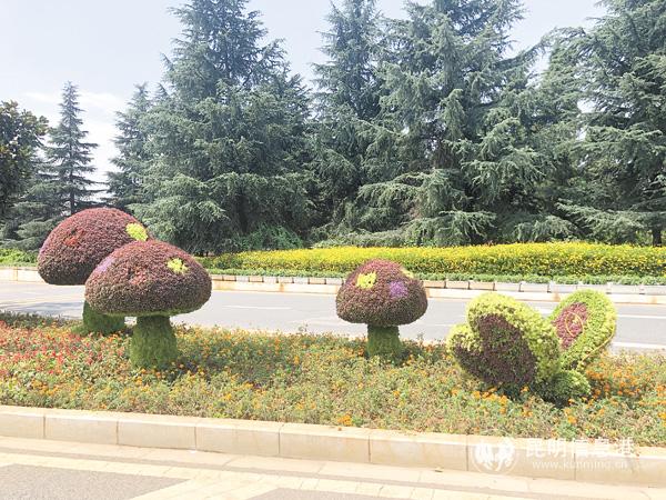 微信图片_20200903163308