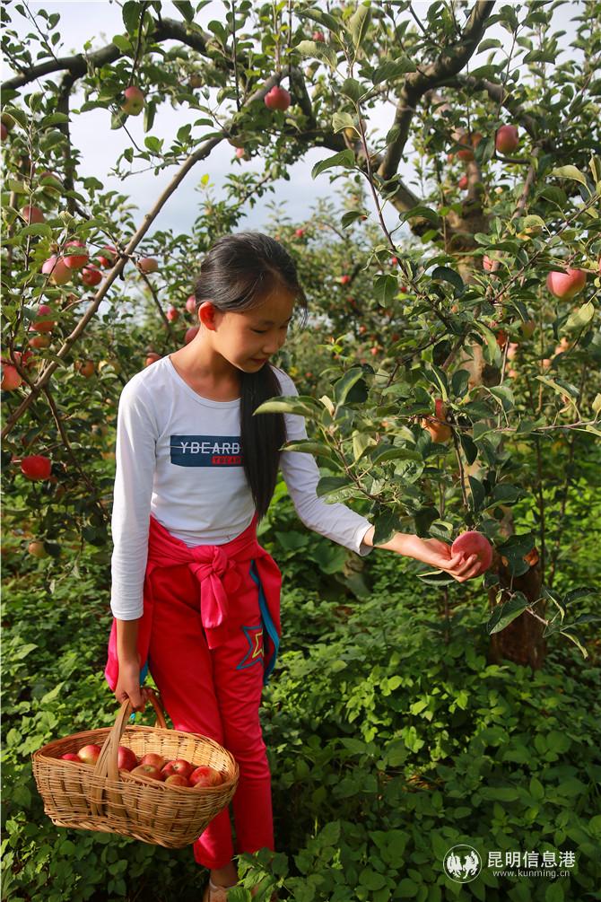 820A9766 (1) 820A9766 (1)