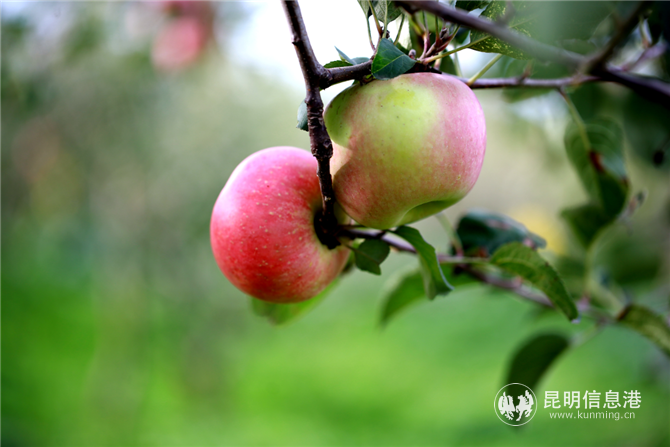 )SWR[8Y6(B69E7TU@P9C`WU )SWR[8Y6(B69E7TU@P9C`WU