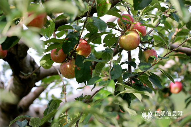 6@R2A3}@IUA99S0FO2SGOA4 6@R2A3}@IUA99S0FO2SGOA4