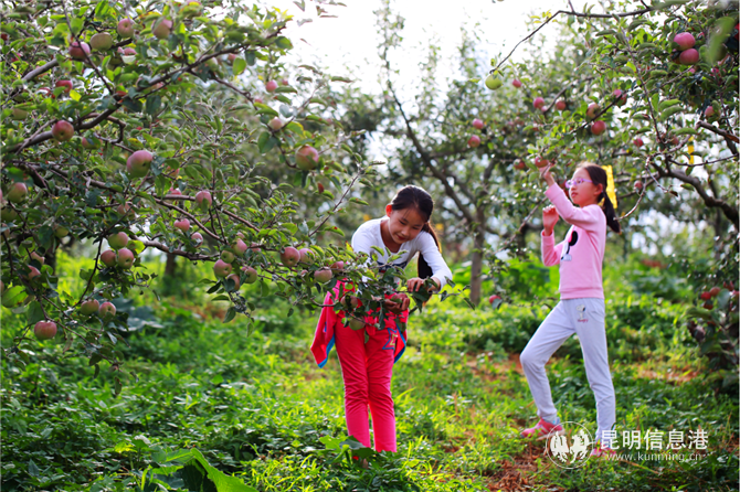 P42AGCPLGBU9PNEMJ_HNB(2 P42AGCPLGBU9PNEMJ_HNB(2