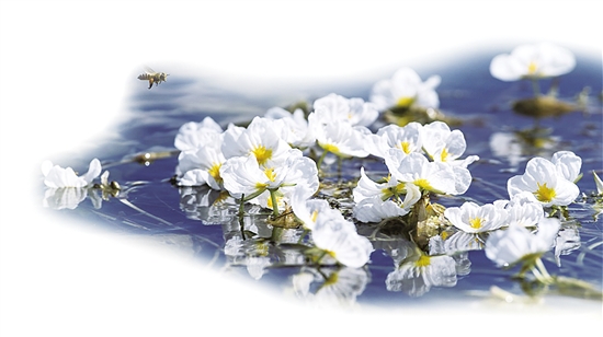 20200922A15_res11_attpic_brief 20200922A15_res11_attpic_brief