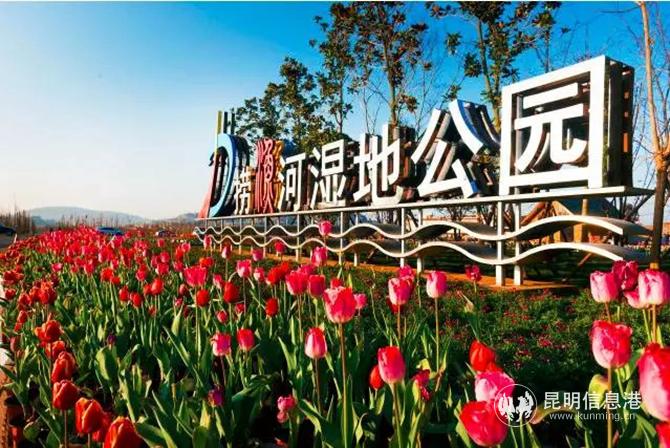 mmexport1601468697312 mmexport1601468697312