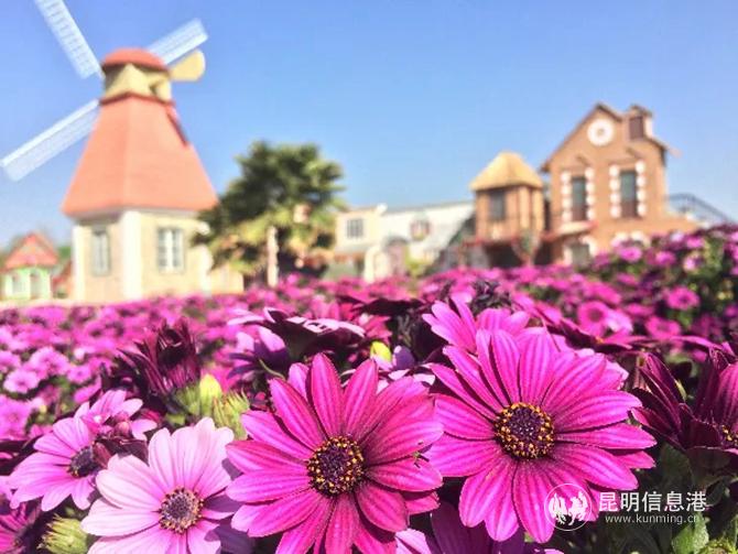 mmexport1601468902971 mmexport1601468902971