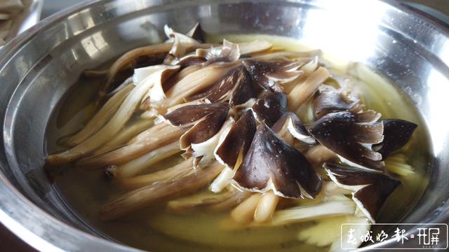 鲜嫩可口 周末来施甸赴一场鸡枞盛宴