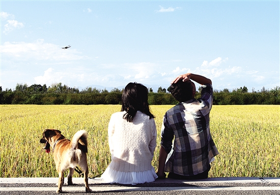 20201023A10_res03_attpic_brief 20201023A10_res03_attpic_brief