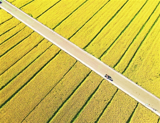 20201023A10_res07_attpic_brief 20201023A10_res07_attpic_brief